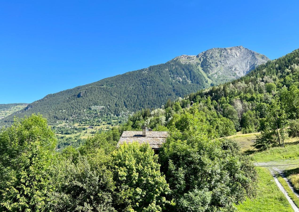Altus Chalé