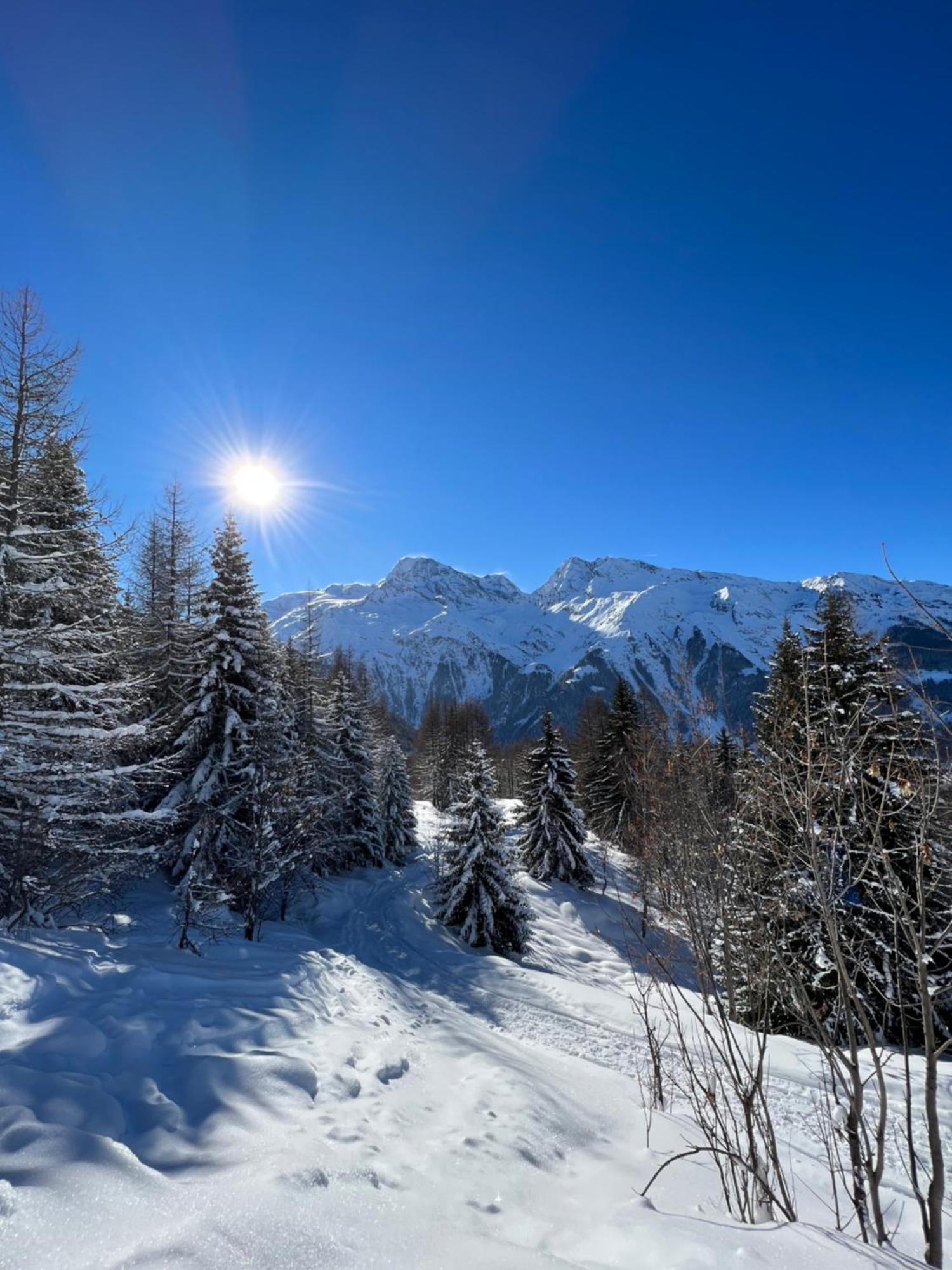 Chalé Altus Sainte-Foy-Tarentaise