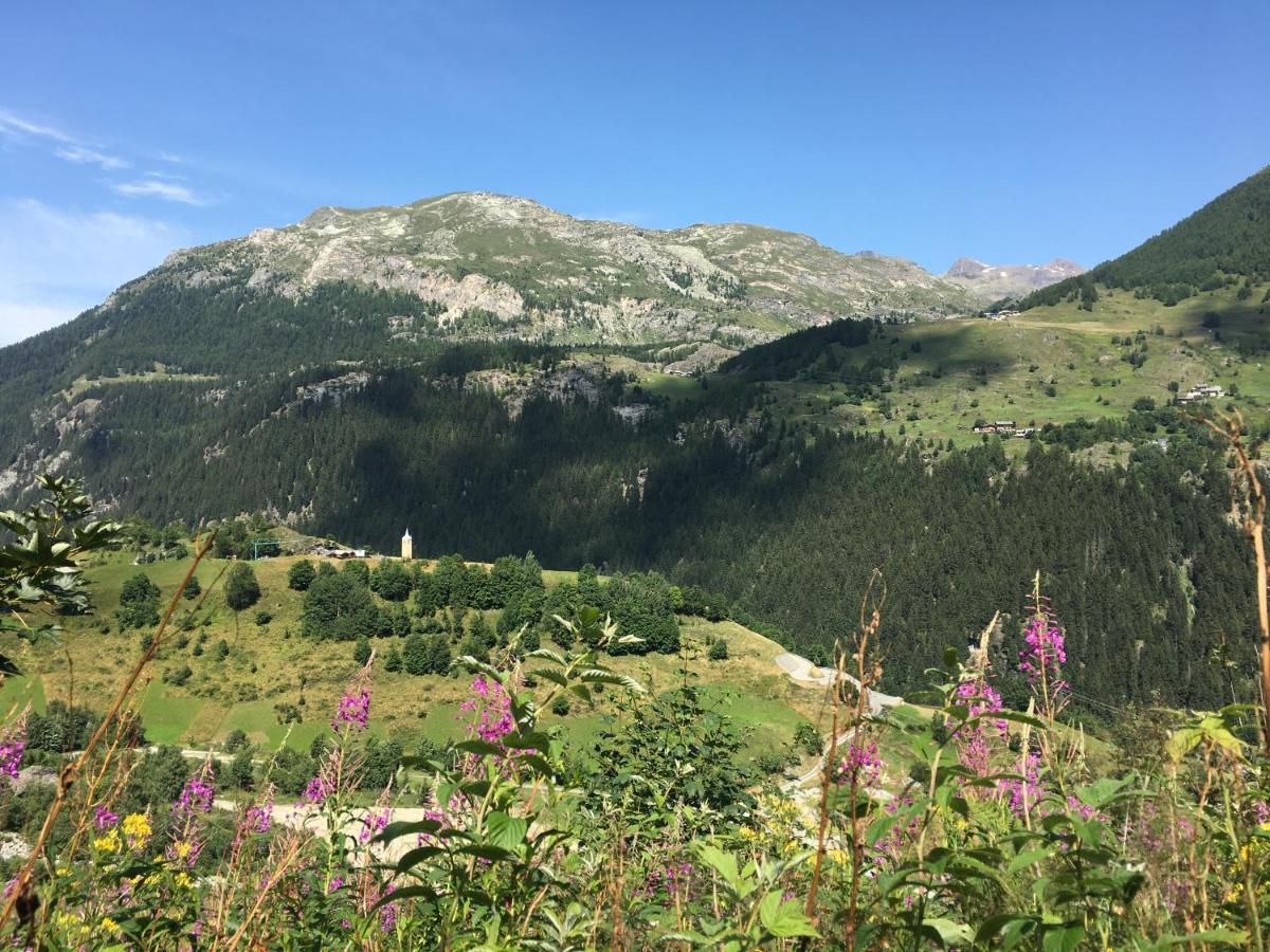 Altus Sainte-Foy-Tarentaise