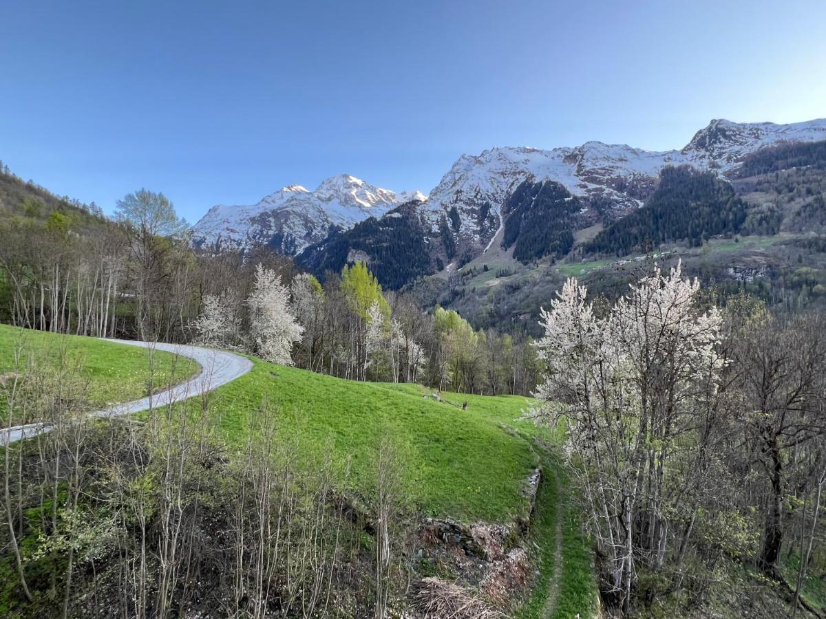 Altus Chalet Sainte-Foy-Tarentaise