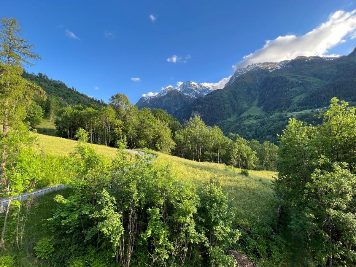 Altus * Sainte-Foy-Tarentaise