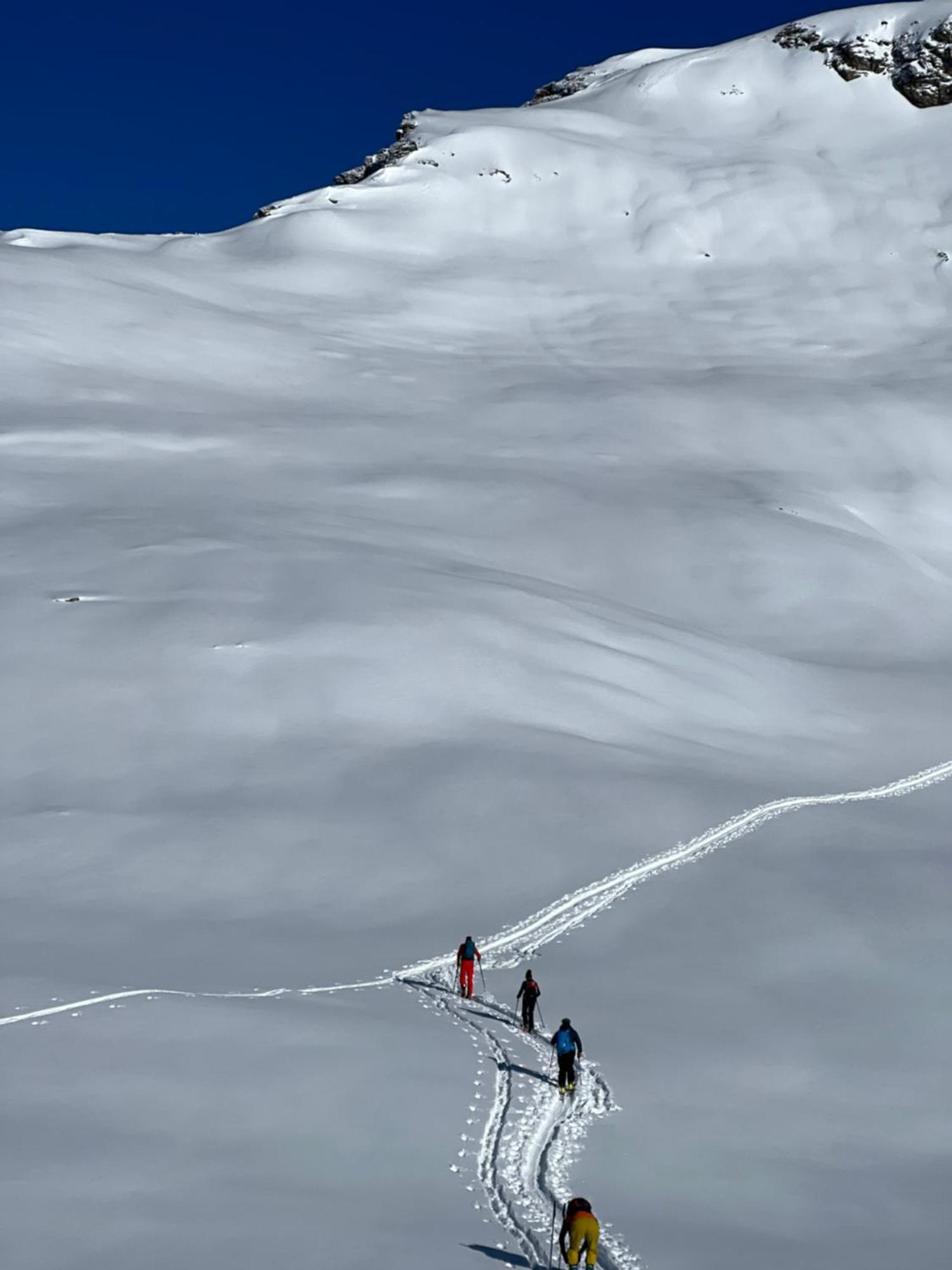Chalet Altus Sainte-Foy-Tarentaise
