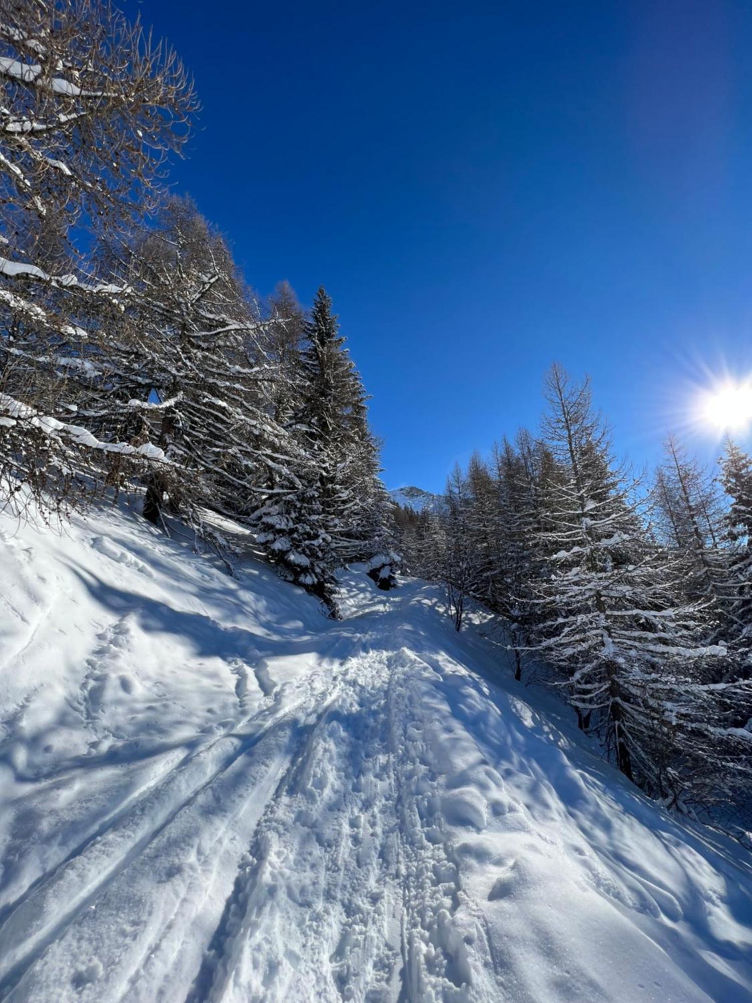Chalet Altus